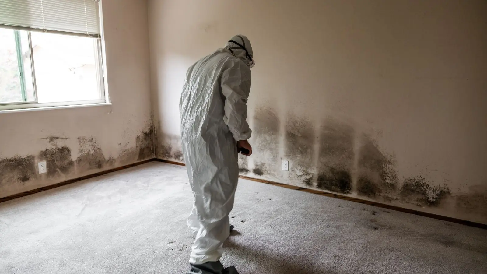 A person in a protective suit inspecting dark mold along the base of a bedroom wall