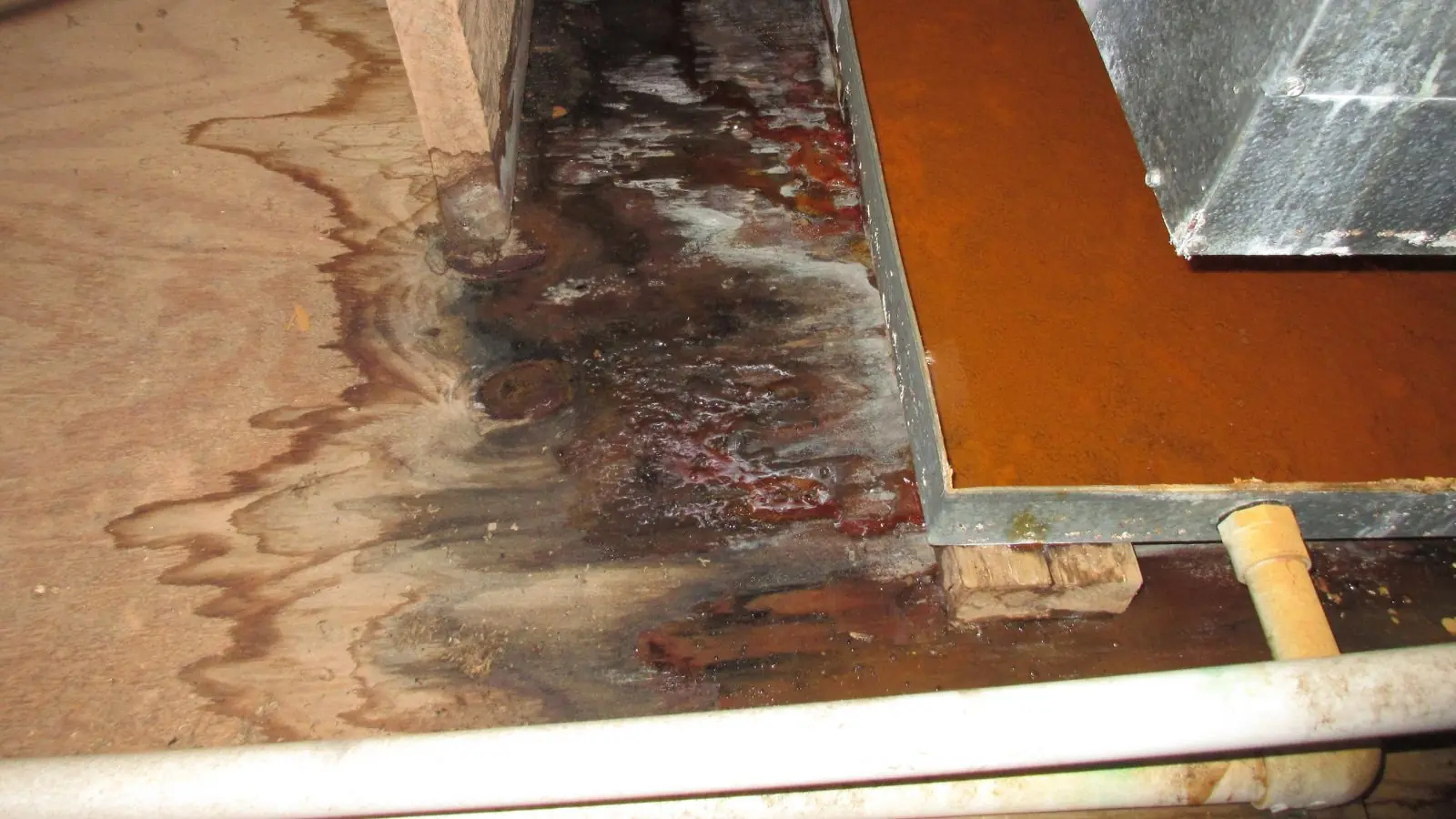 A water-stained subfloor with a lifted floor panel and a pipe running along the edge